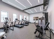 Thumbnail 23 of 37 - Pet-friendly Miami Beach apartment community fitness center featuring modern exercise equipment and a clean, well-lit space.