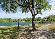 Thumbnail 10 of 29 - A tree stands in the foreground of a park with a lake in the background.