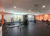 Thumbnail 15 of 21 - a gym with weights and cardio equipment on the floor and a window
