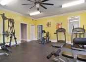 Thumbnail 10 of 15 - Audubon Briarcliff apartments in Atlanta Georgia photo of fitness center