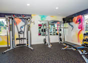 Thumbnail 27 of 47 - a gym with weights and cardio equipment and a painting on the wall