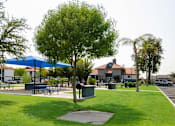 Thumbnail 36 of 46 - a park with tables and umbrellas and houses in the background