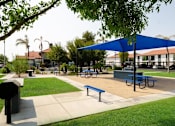Thumbnail 37 of 46 - Pet Friendly Apartments in Mesa AZ - Mesa Station - Outdoor Picnic Area with Picnic Tables, a Shaded Area, Grilling Stations, and Nice Landscaping