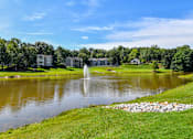 Thumbnail 5 of 17 - A fountain in the middle of a lake surrounded by houses.
