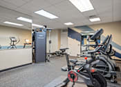 Thumbnail 2 of 47 - A gym with a row of stationary bikes and a treadmill.