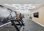Thumbnail 17 of 25 - Apartments in Sandy Springs Georgia for Rent – Celebration at Sandy Springs - A gym with treadmills and a wall mural.