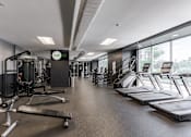 Thumbnail 16 of 25 - A gym with treadmills, weights, and other exercise equipment.