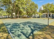 Thumbnail 15 of 21 - Chelsea Apartments in Gainesville Florida photo of basketball court