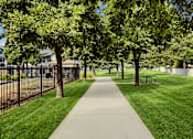 Thumbnail 42 of 47 - A walkway in a park with trees on both sides.