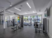 Thumbnail 17 of 20 - Countyline Apartments in Miami FL photo of fitness center with strength equpiment