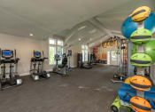 Thumbnail 28 of 31 - Pet-Friendly Apartments In Lawrenceville, GA - Park On Sweetwater Apartments - Fitness Center Equipped With Strength And Cardio Machines, Weighted Balls, Yoga Balls, Workout Mats, And Windows For Sunlight