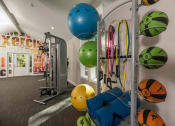 Thumbnail 25 of 31 - Apartments in Lawrenceville Georgia for Rent – Park on Sweetwater - a fitness room with weights and balls and a treadmill