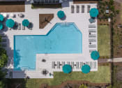 Thumbnail 13 of 35 - Apartments in Savannah, GA for Rent –The Palms at Chatham- arial view of a resort style pool with lounge chairs and umbrellas