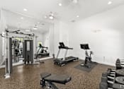 Thumbnail 3 of 15 - Kissimmee, FL Townhomes for Rent - Estates at Lake Cecile – A well-equipped gym with a variety of exercise machines.
