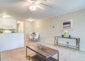 Thumbnail 5 of 10 - The Element at 3900 Spacious Living Room