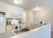 Thumbnail 2 of 10 - The Element at 3900 White appliances Kitchen alternate view