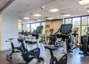 Thumbnail 17 of 38 - Cardio equipment inside fitness center including recumbent bikes and treadmills