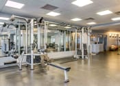 Thumbnail 19 of 38 - Multipurpose strength training machine in fitness center