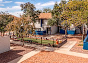 Thumbnail 24 of 37 - Pet-Friendly Apartments In Tucson, AZ – Midtown on Seneca - Photo of Courtyard