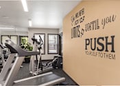 Thumbnail 3 of 13 - A gym with treadmills, exercise bikes, and weights.