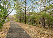 Thumbnail 16 of 19 - Hinton Height_Cottage Grove_MN_nature trail