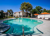Thumbnail 26 of 36 - our apartments have a large resort style pool