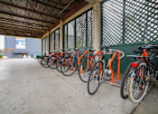 Thumbnail 50 of 51 - A row of bicycles are parked in a bike rack.