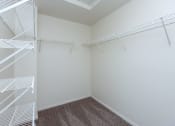 Thumbnail 11 of 30 - Walk-In Closets in specific apartments