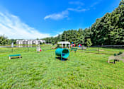 Thumbnail 11 of 17 - A playground with a green slide and a red slide.