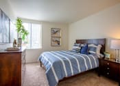 Thumbnail 9 of 37 - Pet-Friendly Apartments In Tucson, AZ – Midtown on Seneca - Photo of Furnished Bedroom with Windows