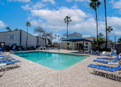 Thumbnail 14 of 37 - Pet-Friendly Apartments In Tucson, AZ – Midtown on Seneca - Photo of Luxury Swimming Pool