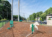 Thumbnail 4 of 24 - Fenced dog park with agility equipment and trees at Mirador at Peachtree, pet-friendly apartments in Atlanta.