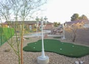 Thumbnail 8 of 22 - Putting Green