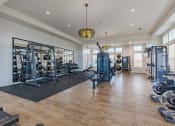 Thumbnail 3 of 22 - a gym with weights machines and a chandelier