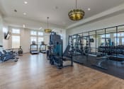 Thumbnail 16 of 22 - a gym with weights and cardio machines and a gold chandelier