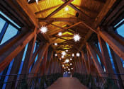 Thumbnail 6 of 16 - bridge