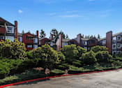 Thumbnail 9 of 20 - beautiful landscaping