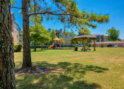 Thumbnail 14 of 24 - A playground at Lake Forest surrounded by grass