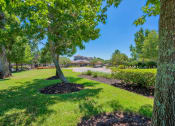 Thumbnail 20 of 24 - Outside view of Lake forest surrounded by nature and trees and grass