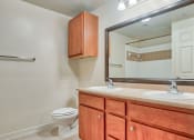 Thumbnail 10 of 25 - Bathroom with double vanity, top lighting, mirror, toilet with cabinets below it and below sink