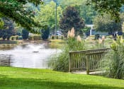 Thumbnail 33 of 40 - Grand Arbor Reserve apartments in Raleigh North Carolina photo of sparkling lake