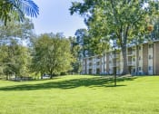 Thumbnail 32 of 40 - Grand Arbor Reserve apartments in Raleigh North Carolina photo of large grass area