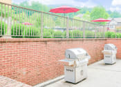 Thumbnail 16 of 23 - outdoor picnic and grilling area with two grills