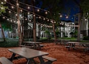 Thumbnail 32 of 39 - Pet-Friendly Apartments in Houston, TX – Westchase Forest – Photo of picnic tables in a park at night