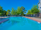 Thumbnail 2 of 25 - Pet-Friendly Rentals in Maumelle, AR – Parc at Maumelle – a swimming pool surrounded by trees and beach chairs