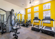 Thumbnail 3 of 25 - gym with cardio equipment and lifting equipment surrounded by windows