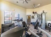 Thumbnail 17 of 25 - Pet-Friendly Rentals in Maumelle, AR – Parc at Maumelle – gym with cardio equipment and lifting equipment surrounded by windows
