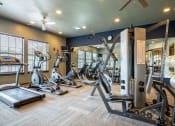 Thumbnail 3 of 25 - gym with lifting and cardio equipment with a big mirror and windows