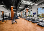 Thumbnail 17 of 43 - a gym with cardio machines and weights on a wooden floor