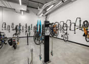 Thumbnail 28 of 43 - the new store has a lot of bikes and other equipment on the wall